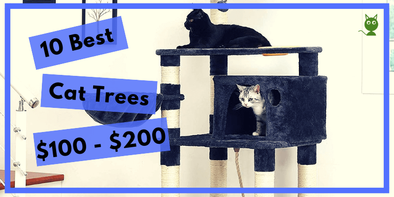 10 Best Cat Trees $100-$200