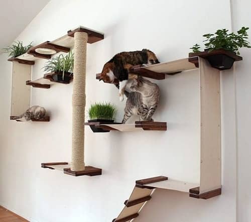 Best Cat Trees Above $200 - CatastrophiCreations Cat Mod Garden Complex Wall Tree