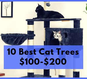 10 Best Cat Trees $100-$200