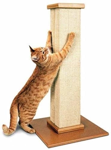 SmartCat Pioneer Pet Ultimate Scratching Post Best Cat Scratching Post - SmartCat Pioneer Pet Ultimate Scratching Post