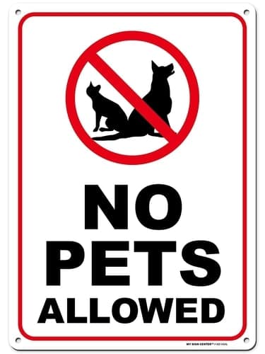 the cat free zone