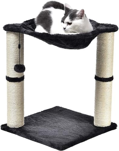 How to Keep Cats from Scratching Leather Couches in Your Home