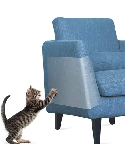 Avoid Cat Scratches With This Simple Home Remedy!