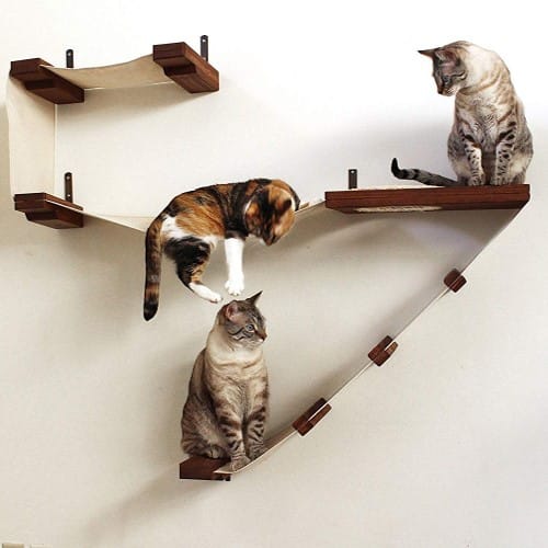Best Cat Tree $100-$200 - CatastrophiCreations Deluxe Cat Tree Playplace