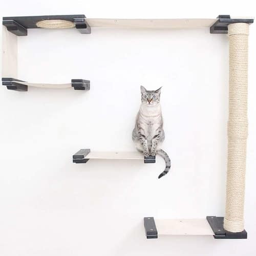 Best Cat Trees Above $200 - CatastrophiCreations Cat Mod Climbing Track