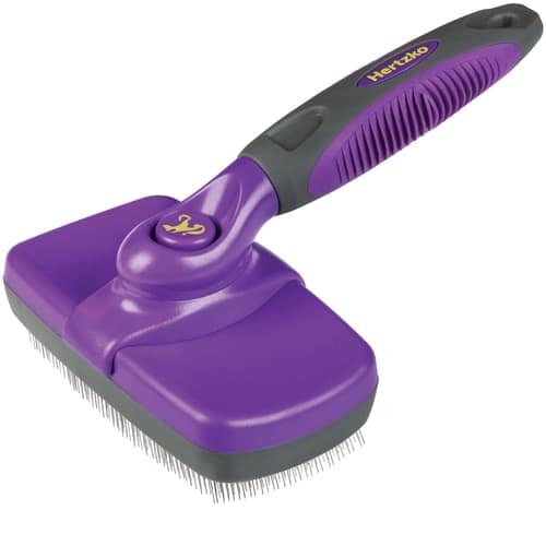 regular cat grooming
