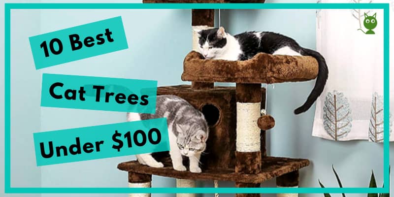 10 Best Cat Trees Under $100
