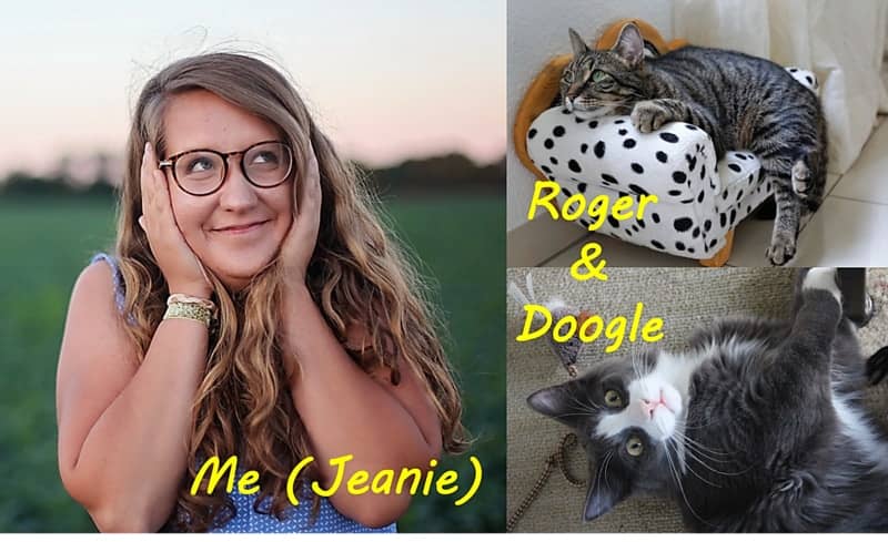 Jeanie, Doogle & Roger - Top Cat Condo
