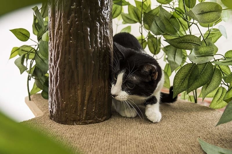 Best Cat Trees Smart Buyers Guide - CatHaven Cat Condo Tree