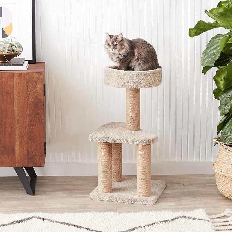 Best Cat Trees Smart Buyers Guide - Amazon Basics Carpet Cat Tree